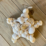 Shell Cluster Starfish Ornament