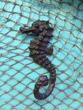 Curly Tail Seahorse Hook