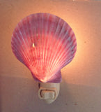 Colorful Scallop Shell Nightlight