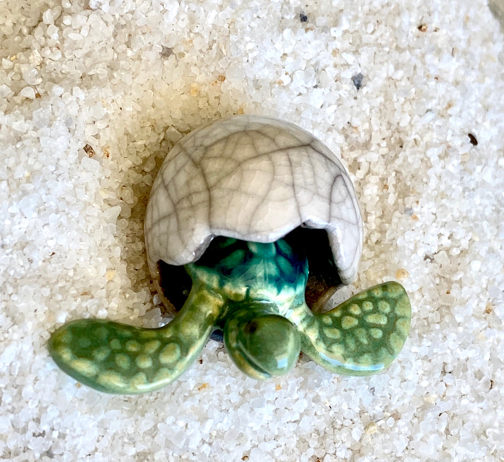 Hatching Turtle Egg
