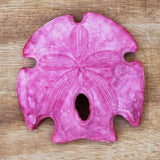 Colorful Arrowhead Sand Dollar