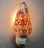 Cone Shell Nightlight