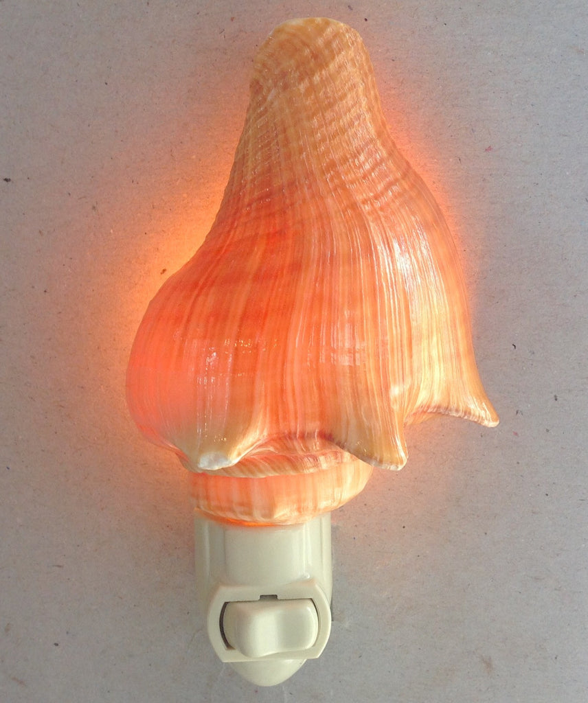 Orange Conch Nightlight