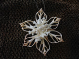 Snowflake Coral Star Shell Ornament