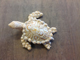 Sandy Mini Turtle