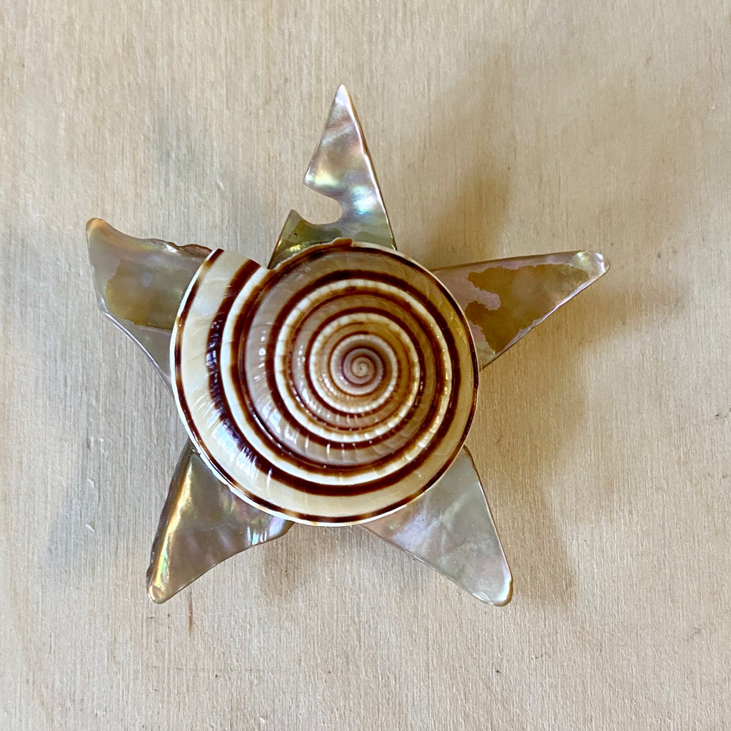 Sundial Star Shell Magnet – Sea Things Ventura