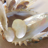 Mermaid Ocean Jewel Crown