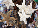 Starfish Tree Toppers