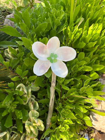 Pink Shell Seaglass Flower