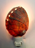 Abalone Shell Nightlight
