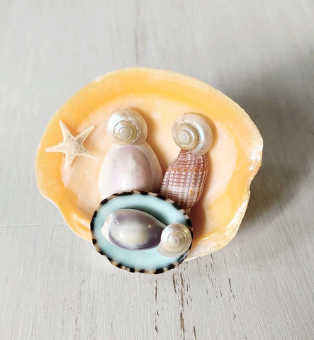 Seashell Nativity Magnet Crafting Box