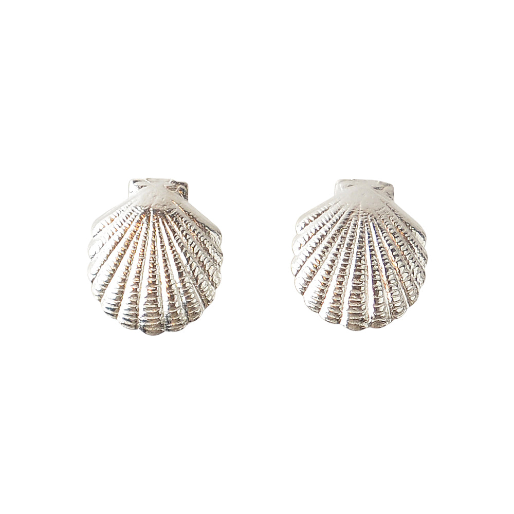 Silver Scallop Shell Stud Earrings