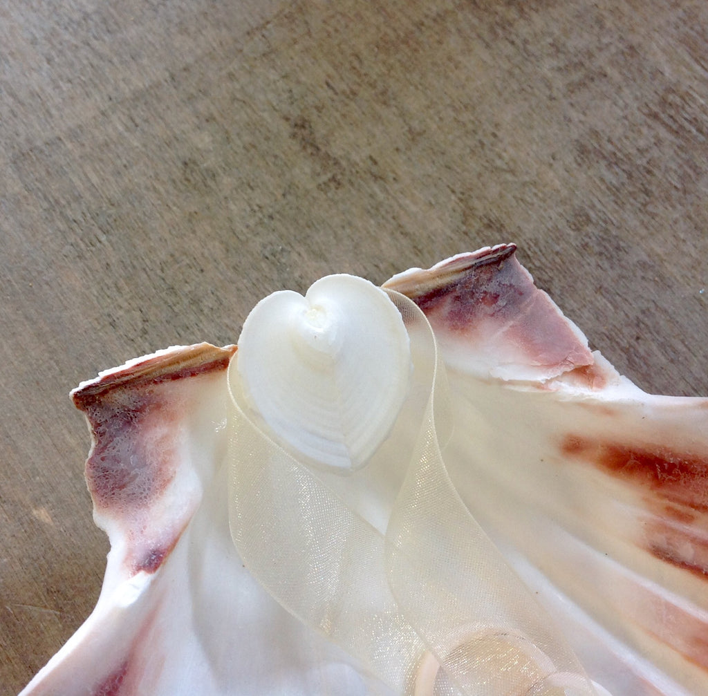 Gold Scallop Shell Dish – Sea Things Ventura