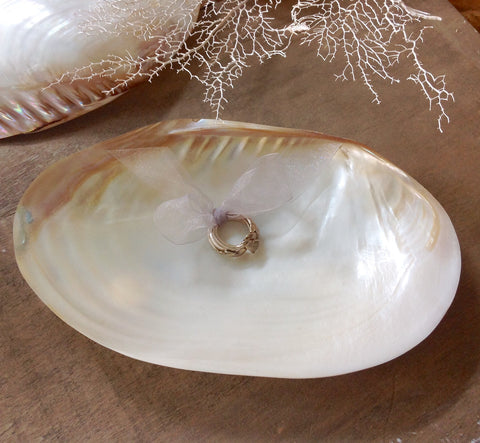 Pearly Clam Soap Dish