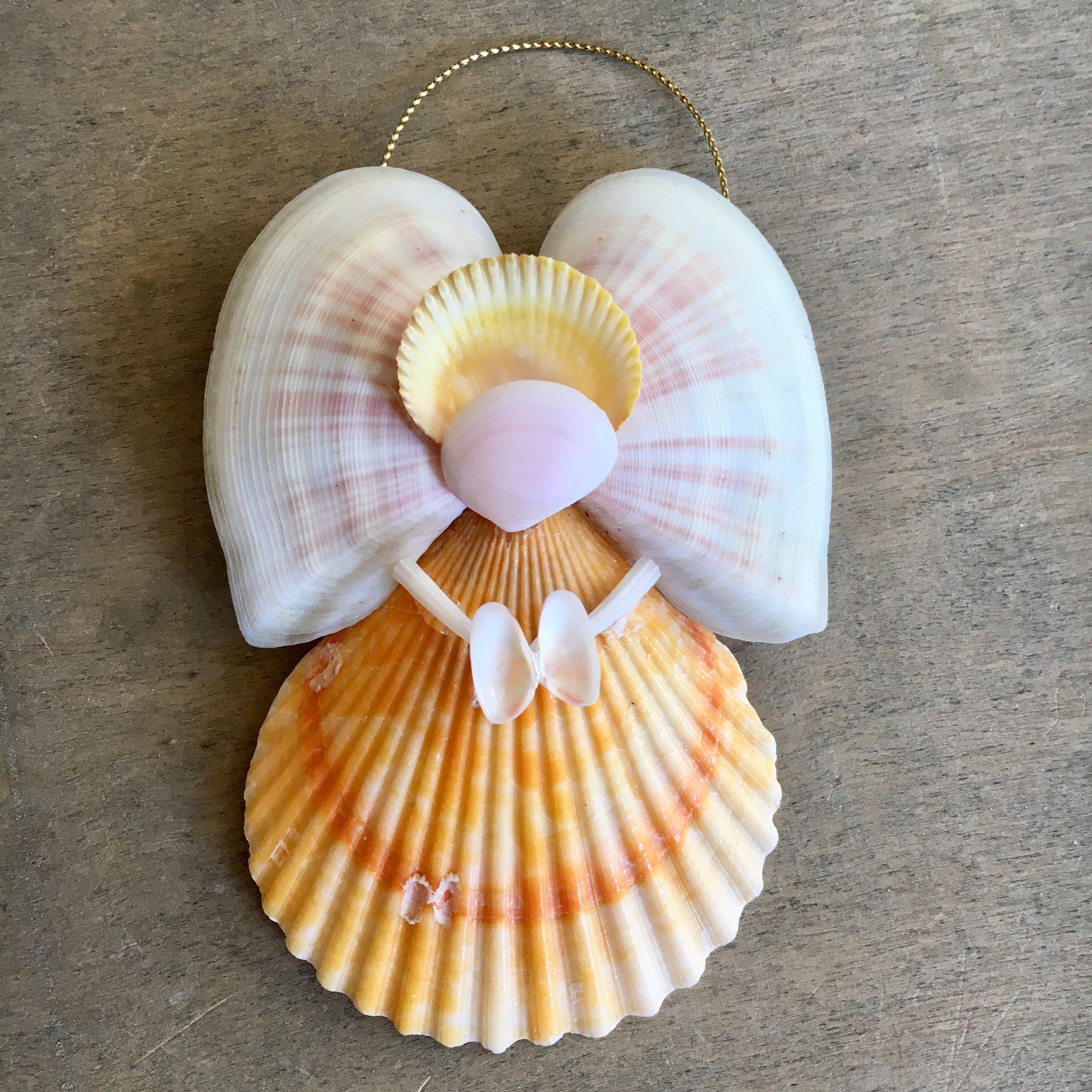 Buy Bulk Seashells for Crafts - Shells in Bulk - California Seashell