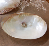 Ringbear Seashell Wedding "Pillow"