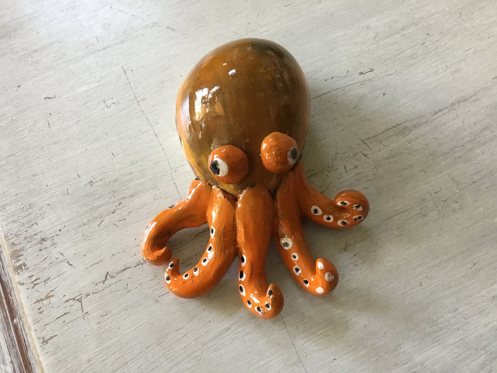 Octopus Cowrie Seashell