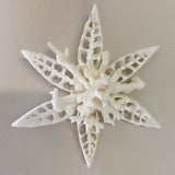 Coral Star Ornament