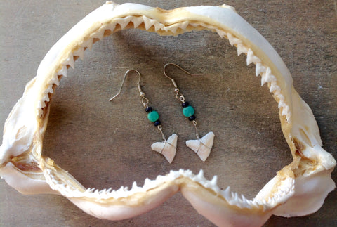 Shark Teeth Earrings