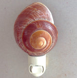Snail Shell Nightlight