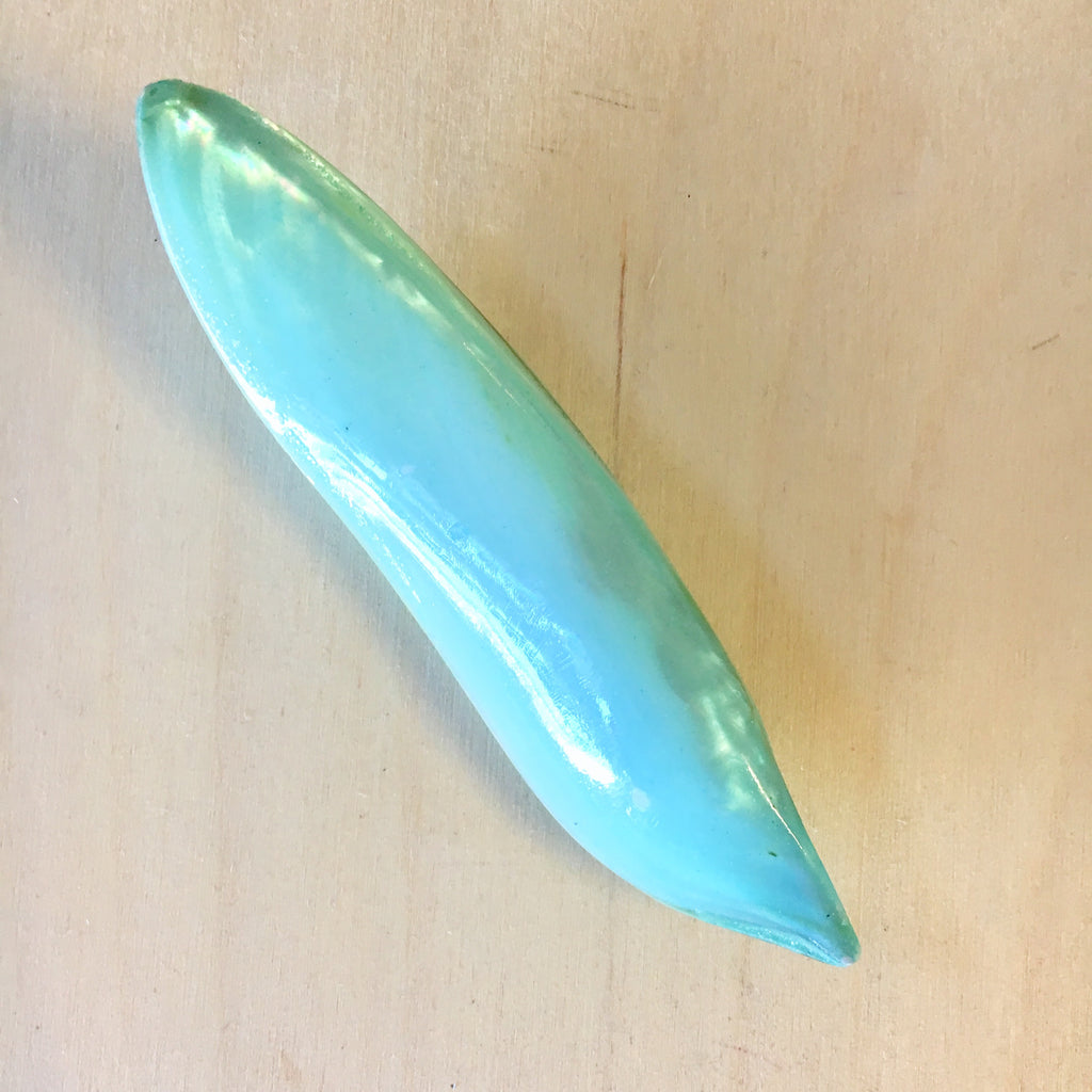 Polished Turquoise Mussel Pair