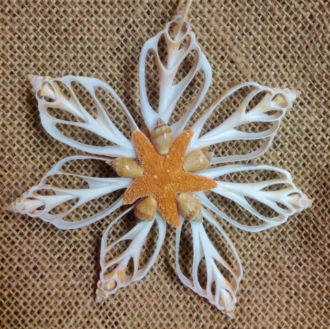 Sliced Star Shell Ornament