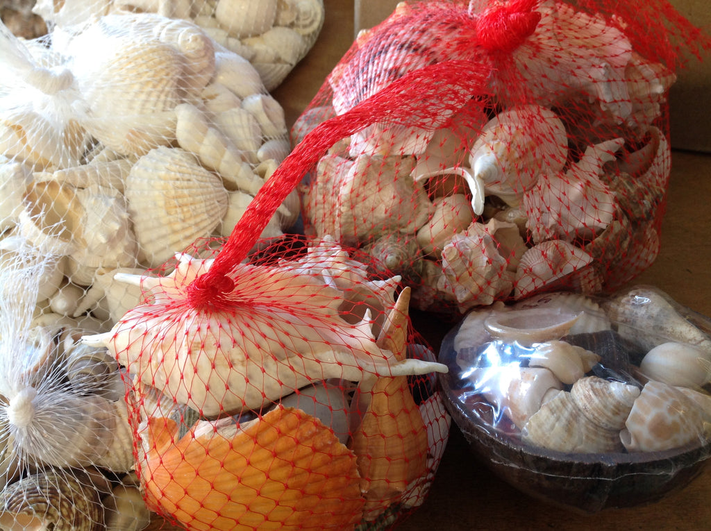 Shell Packon Bulk Shell Pack – Sea Things Ventura