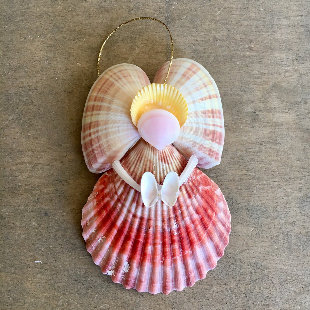Rainbow Butterfly Shell Angel – Sea Things Ventura