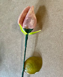 Shell Rose