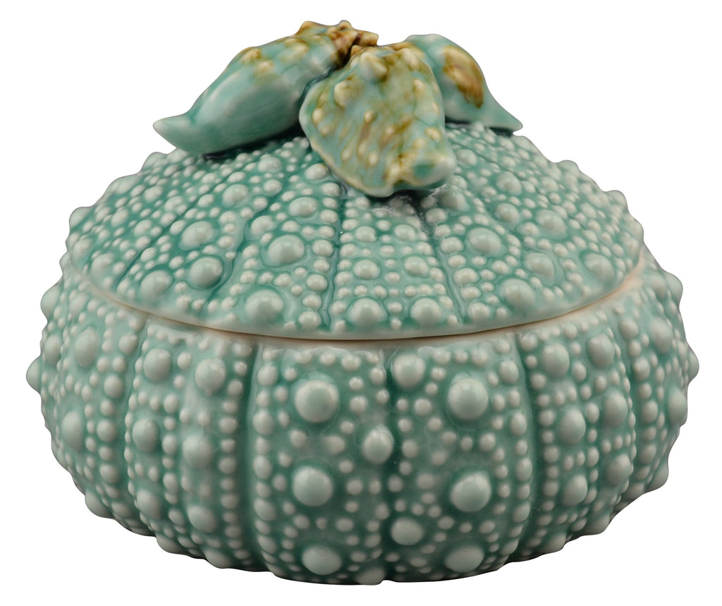 Seashell Sea Urchin Box