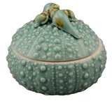 Seashell Sea Urchin Box